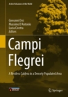 Campi Flegrei : A Restless Caldera in a Densely Populated Area - Book