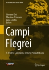 Campi Flegrei : A Restless Caldera in a Densely Populated Area - eBook