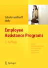 Employee Assistance Programs : Externe Mitarbeiterberatung im betrieblichen Gesundheitsmanagement - eBook