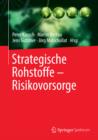 Strategische Rohstoffe - Risikovorsorge - eBook
