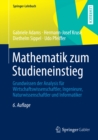 Mathematik zum Studieneinstieg : Grundwissen der Analysis fur Wirtschaftswissenschaftler, Ingenieure, Naturwissenschaftler und Informatiker - eBook