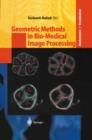 Geometric Methods in Bio-Medical Image Processing - eBook