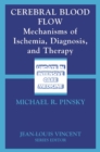 Cerebral Blood Flow : Mechanisms of Ischemia, Diagnosis, and Therapy - eBook