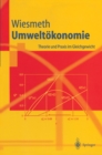 Umweltokonomie : Theorie und Praxis im Gleichgewicht - eBook