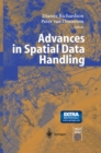 Advances in Spatial Data Handling : 10th International Symposium on Spatial Data Handling - eBook