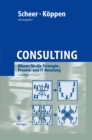 Consulting : Wissen fur die Strategie-, Prozess- und IT-Beratung - eBook