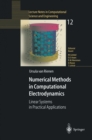 Numerical Methods in Computational Electrodynamics : Linear Systems in Practical Applications - eBook