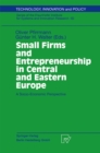 Small Firms and Entrepreneurship in Central and Eastern Europe : A Socio-Economic Perspective - eBook