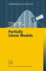 Partially Linear Models - eBook