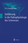 Einfuhrung in die Pathophysiologie des Schmerzes - eBook