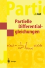 Partielle Differentialgleichungen : Elliptische (und parabolische) Gleichungen - eBook