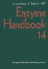 Enzyme Handbook 14 : Class 2.7-2.8 Transferases, EC 2.7.1.105-EC 2.8.3.14 - eBook