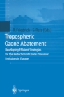 Tropospheric Ozone Abatement : Developing Efficient Strategies for the Reduction of Ozone Precursor Emissions in Europe - eBook