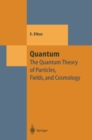 Quantum : The Quantum Theory of Particles, Fields and Cosmology - eBook