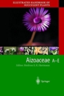 Illustrated Handbook of Succulent Plants: Aizoaceae A-E - Book