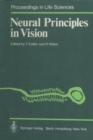 Neural Principles in Vision - eBook
