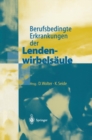 Berufsbedingte Erkrankungen der Lendenwirbelsaule - eBook