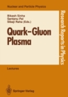 Quark-Gluon Plasma : Invited Lectures of Winter School, Puri, Orissa, India, December 5-16, 1989 - eBook