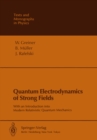 Quantum Electrodynamics of Strong Fields : With an Introduction into Modern Relativistic Quantum Mechanics - eBook
