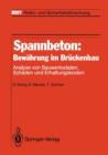 Spannbeton: Bewahrung im Bruckenbau - Book