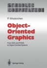 Object-Oriented Graphics : From GKS and PHIGS to Object-Oriented Systems - eBook