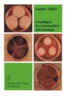 Grundlagen der Lebensmittelmikrobiologie : Eine Einfuhrung - eBook