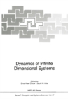 Dynamics of Infinite Dimensional Systems - eBook