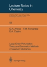 Large Order Perturbation Theory and Summation Methods in Quantum Mechanics - eBook