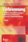 Verbrennung : Physikalisch-Chemische Grundlagen, Modellierung und Simulation, Experimente, Schadstoffentstehung - eBook