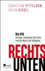 Rechts unten : Die AfD: Intrigen, heimliche Herrscher und die Macht der Geldgeber - eBook
