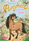 Ponyherz 20: Das groe Fest : Pferde-Abenteuer uber ein Madchen und sein geheimes Wildpferd fur Madchen ab 7 - eBook