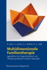 Multidimensionale Familientherapie : Jugendliche bei Drogenmissbrauch und Verhaltensproblemen wirksam behandeln - eBook