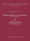Khirbet Qumran et Ain Feshkha III A : Fouilles du P. Roland de Vaux. L'archeologie de Qumran. Reconsideration de l'interpretation. Corpus of the Lamps - eBook