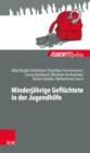 Minderjahrige Gefluchtete in der Jugendhilfe - eBook