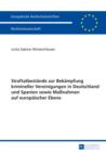 Straftatbestaende zur Bekaempfung krimineller Vereinigungen in Deutschland und Spanien sowie Manahmen auf europaeischer Ebene - eBook