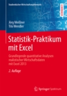 Statistik-Praktikum mit Excel : Grundlegende quantitative Analysen realistischer Wirtschaftsdaten mit Excel 2013 - eBook