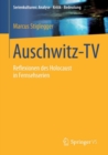 Auschwitz-TV : Reflexionen des Holocaust in Fernsehserien - eBook
