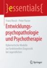 Entwicklungspsychopathologie und Psychotherapie : Kybernetische Modelle zur funktionellen Diagnostik bei Jugendlichen - eBook