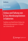 Einbau und Faltung von -Fass Membranproteinen in Bakterien : Funktion von BamB beim Einbau des Auenmembranproteins A (OmpA) aus Escherichia coli - eBook