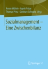 Sozialmanagement - Eine Zwischenbilanz - eBook