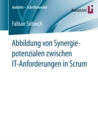 Abbildung von Synergiepotenzialen zwischen IT-Anforderungen in Scrum - eBook