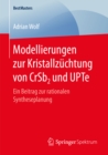 Modellierungen zur Kristallzuchtung von CrSb2 und UPTe : Ein Beitrag zur rationalen Syntheseplanung - eBook