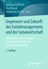 Gegenwart und Zukunft des Sozialmanagements und der Sozialwirtschaft : Aktuelle Herausforderungen, strategische Ansatze und fachliche Perspektiven - eBook