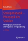 Sozialpadagogik - Padagogik des Sozialen : Grundlegungen, Institutionen und Perspektiven der Jugendbildung - eBook