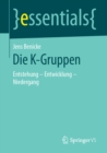 Die K-Gruppen : Entstehung - Entwicklung - Niedergang - eBook