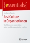 Just Culture in Organisationen : Wie Piloten eine konstruktive Fehler- und Vertrauenskultur schaffen - eBook