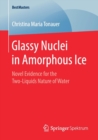 Glassy Nuclei in Amorphous Ice : Novel Evidence for the Two-Liquids Nature of Water - Book