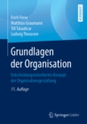 Grundlagen der Organisation : Entscheidungsorientiertes Konzept der Organisationsgestaltung - eBook