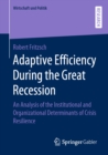 Adaptive Efficiency During the Great Recession : An Analysis of the Institutional and Organizational Determinants of Crisis Resilience - eBook