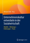 Unternehmenskultur entwickeln in der Sozialwirtschaft : Modelle - Werkzeuge - Erfahrungen - Praxis - eBook